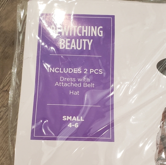 Celestial Witch Costume by Amscan Size Small 4-6 - Picture 3 of 3